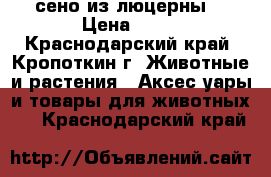 сено из люцерны  › Цена ­ 50 - Краснодарский край, Кропоткин г. Животные и растения » Аксесcуары и товары для животных   . Краснодарский край